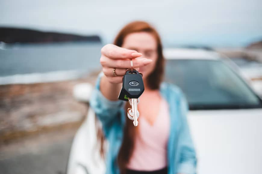 Vehicle Inspection Step